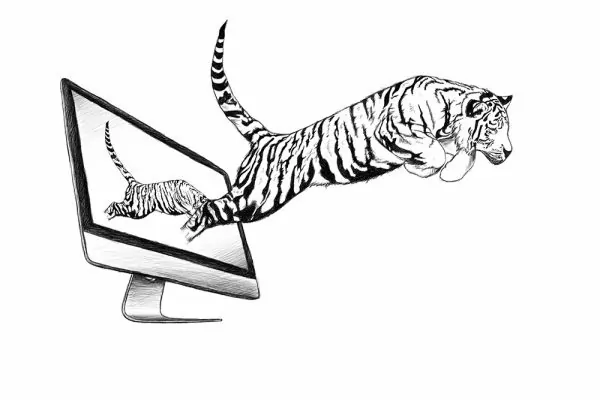 Tiger Scribble / Skizze