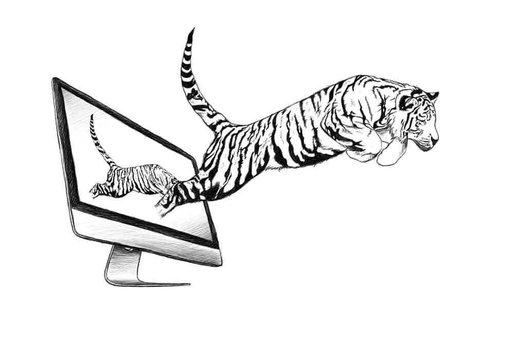 Tiger Scribble / Skizze