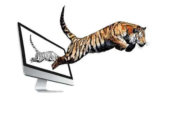 Grober Farbauftrag, Illustration, Digital Painting Tiger