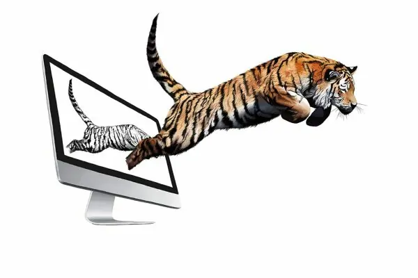 Illustration, Digital Painting Tiger - Realistische Darstellung