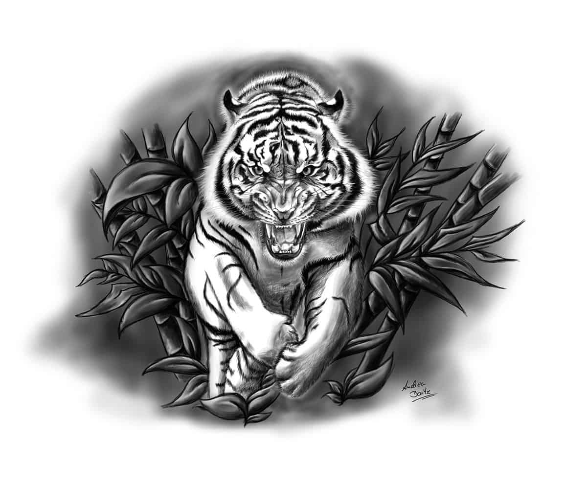 Illustration und Tattoo Fauchender Tiger