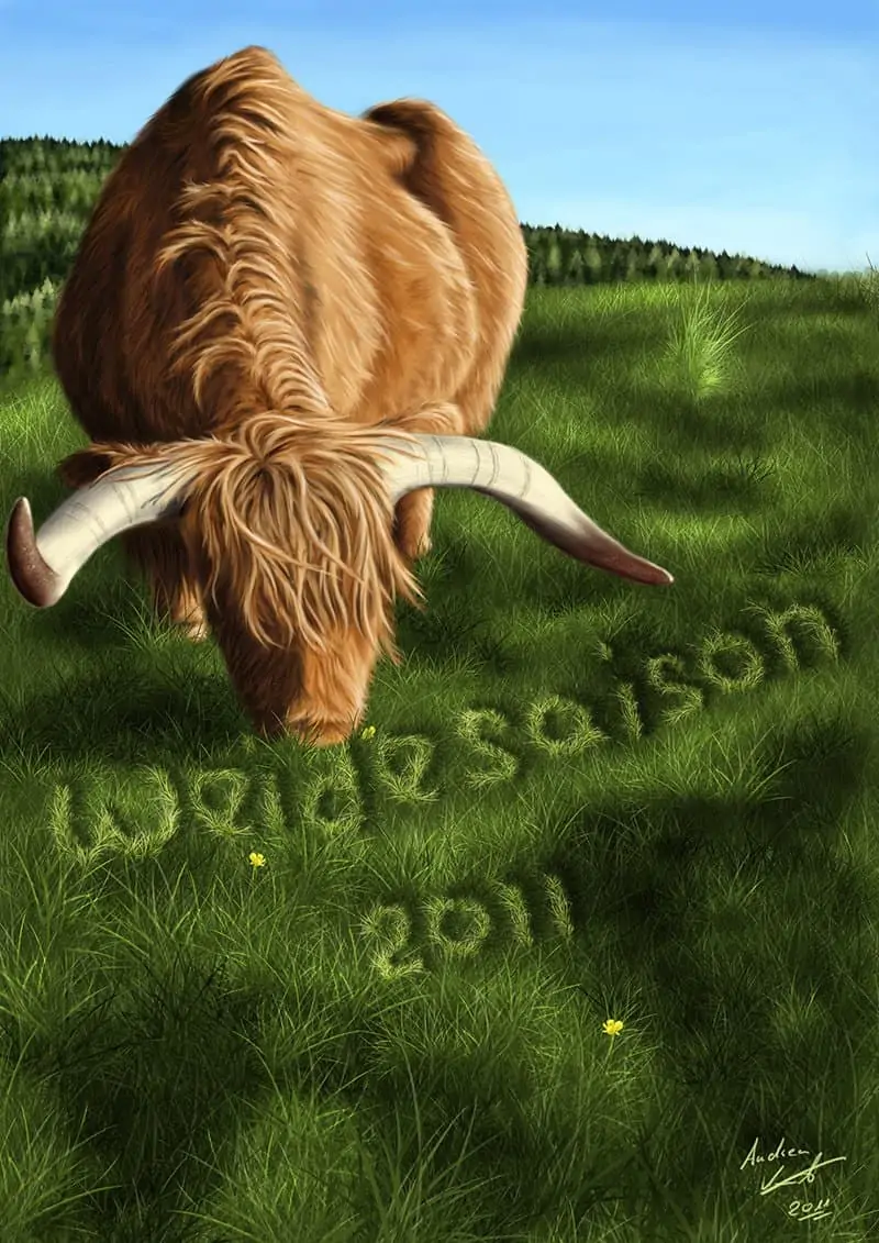 Cover Illustration Highland Cattle