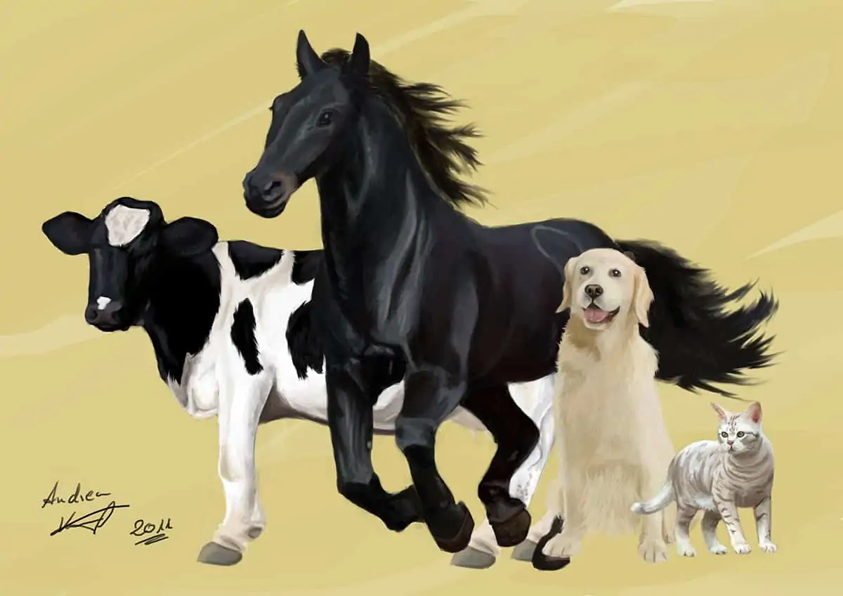 Poster Illustration mit verschiedenen Tieren