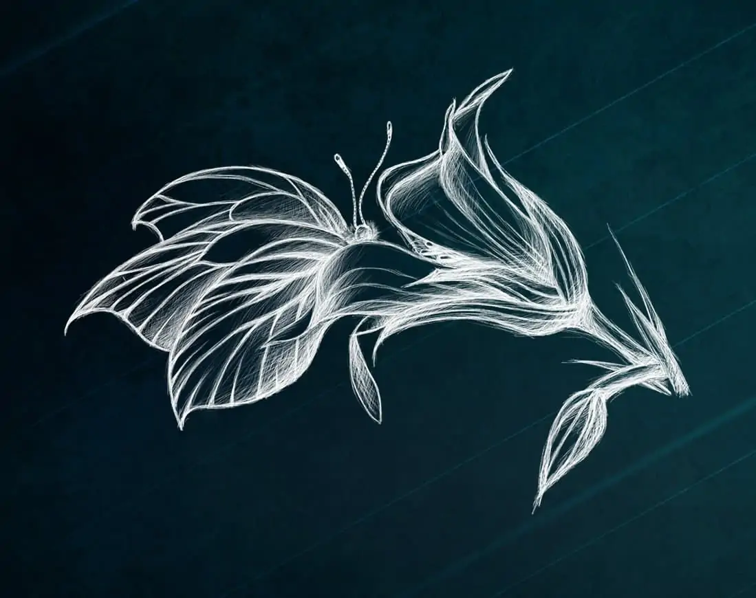Illustration Schmetterling