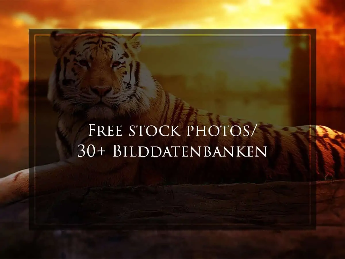 Free stock images, free stock photos, free stock pictures, kostenlose Bilddatenbanken, kostenlose Bilder, Lizenzfreie Bilder, stock photos free, free pictures